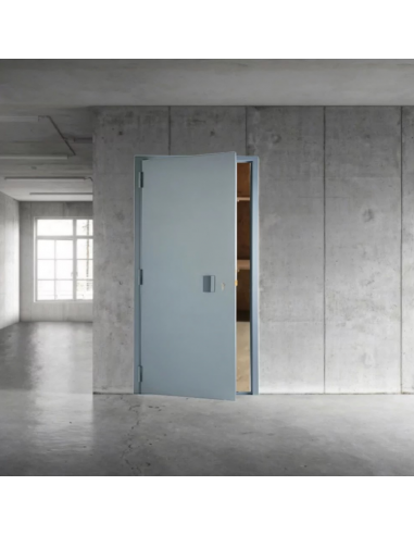 Porte Métallique De Cave Eco 1 Vantail