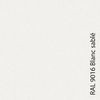 Blanc RAL 9018